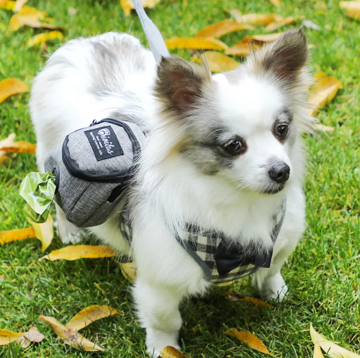 Portador de Moda para Mascotas Pet Voyage