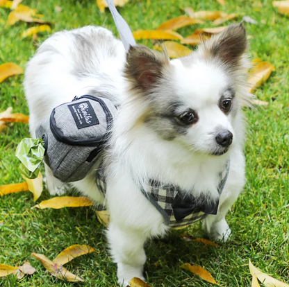 Portador de Moda para Mascotas Pet Voyage