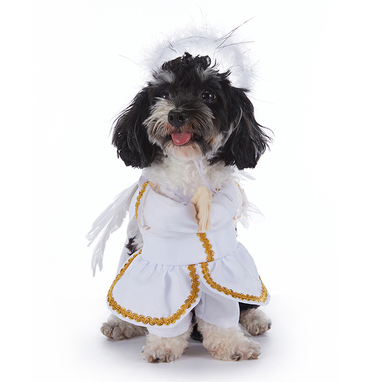 Disfraz de Ángel para perros