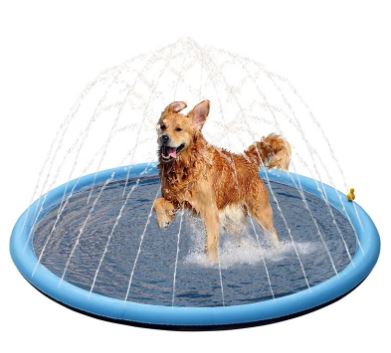 Piscina de Natación para Mascotas de Verano