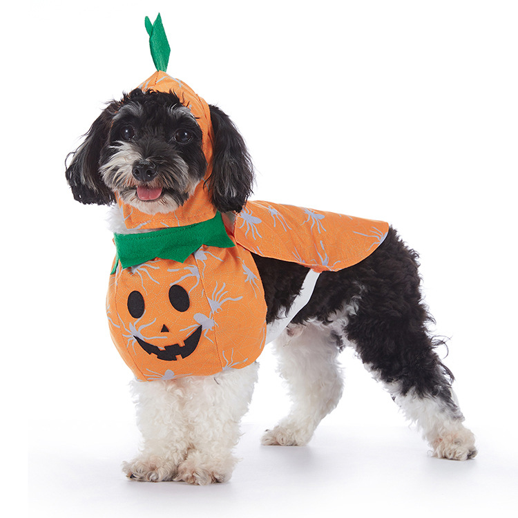 Disfraz de Calabaza para perros