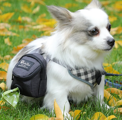 Portador de Moda para Mascotas Pet Voyage