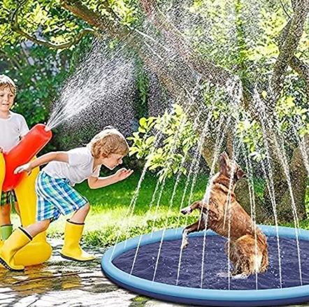 Piscina de Natación para Mascotas de Verano